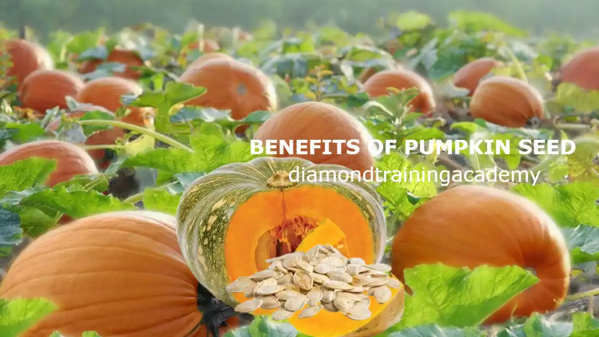 BENEFITS OF PUMPKIN SEED