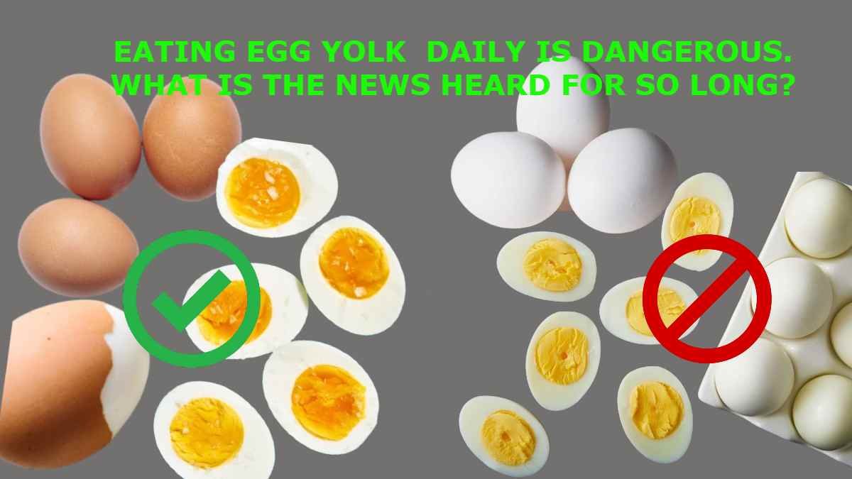 EATING EGG YOLK DAILY IS DANGEROUS. WHAT IS THE NEWS HEARD FOR SO LONG