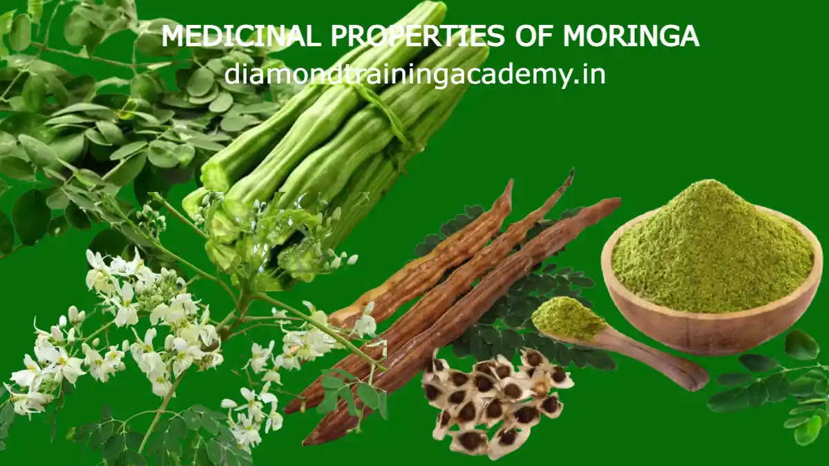 MEDICINAL PROPERTIES OF MORINGA.2