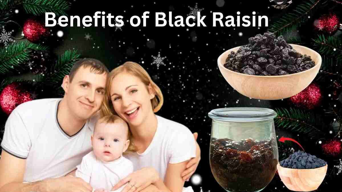 Benefits of Black Raisin 2 1 Benefits of Black Raisin