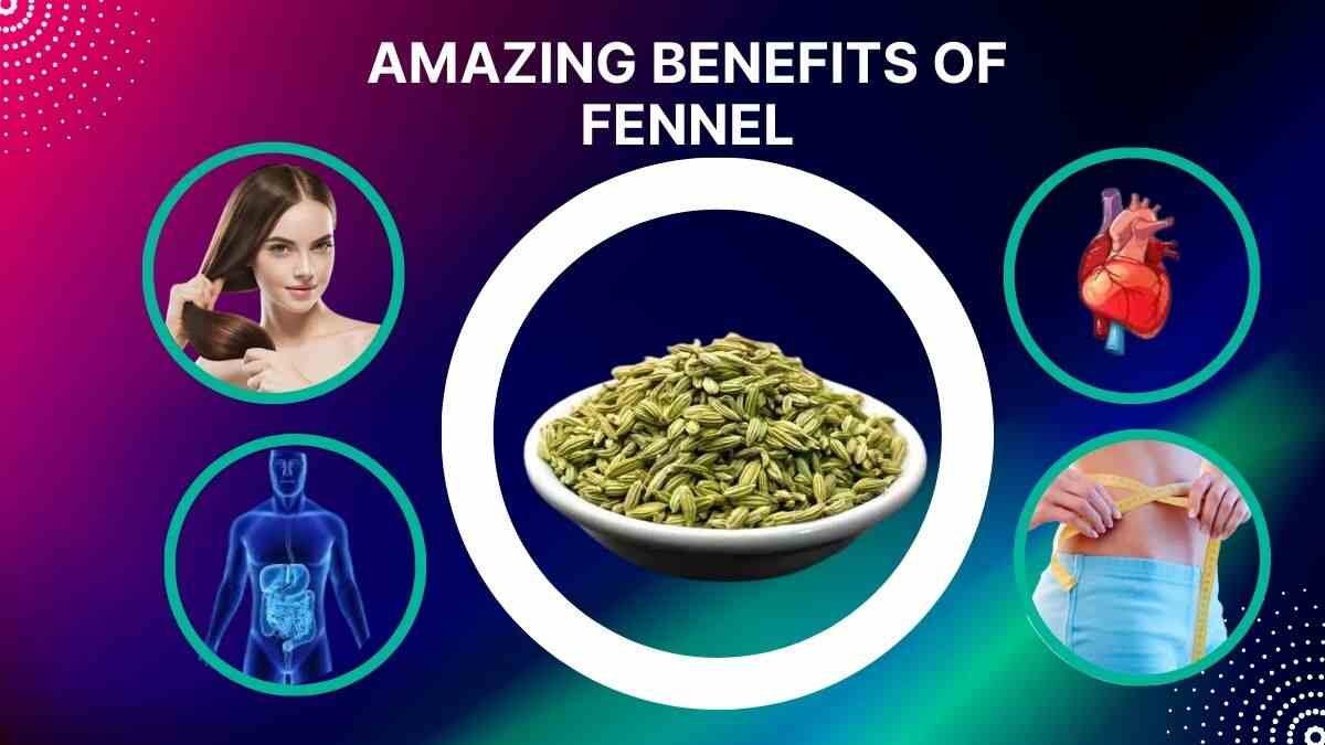 What is Fennel 3 1 Amazing Benefits of Fennel