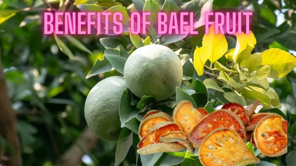 Benefits of Bael Fruit Benefits of Bael Fruit
