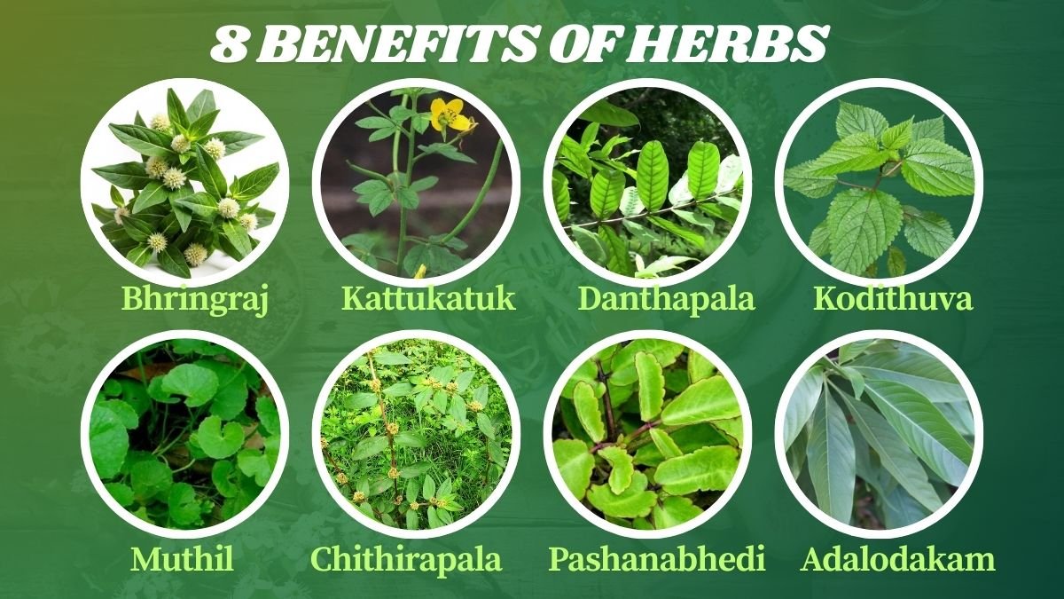 Ayurvedic Medicinal Benefits, 8 Benefits of Herbs,